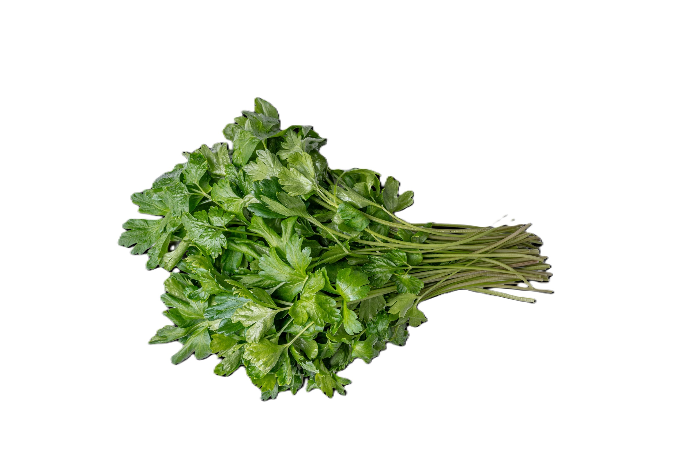 Italian Parsley, 2-3 oz Bunch