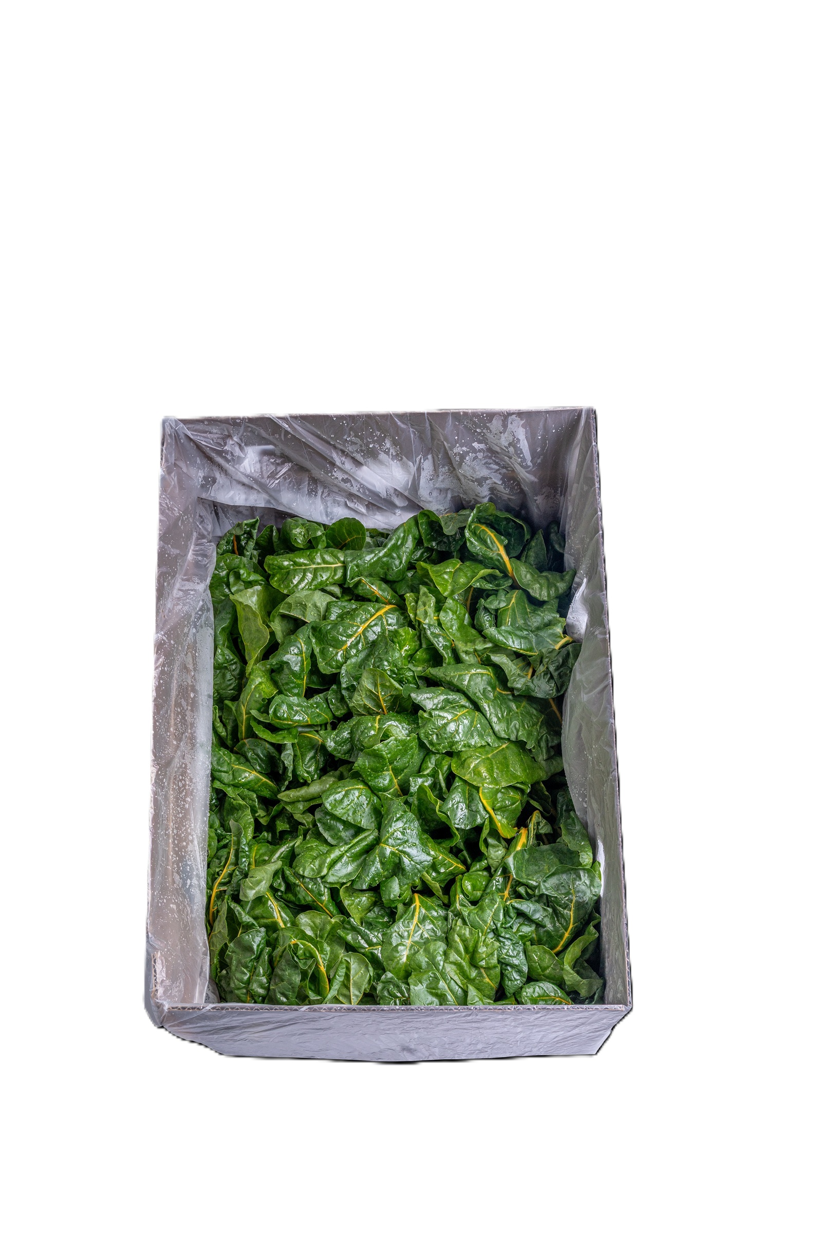 Organic Swiss Chard, 5 oz Bunch photo 2