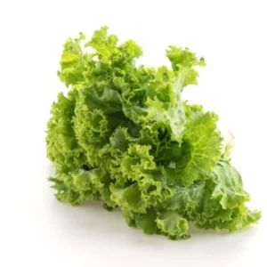 Romaine Lettuce